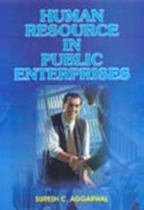 Human Resource in Public Enterprises: A Wage-Productivity Approach