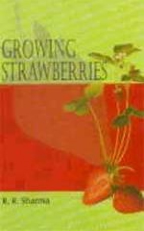 Growing Strawberries