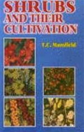 Shrubs and Their Cultivation