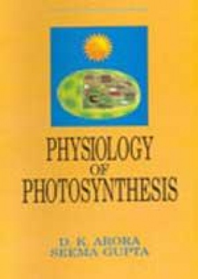 Physiology of Photosynthesis