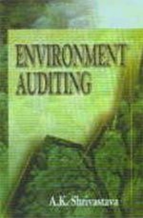 Environment Audit