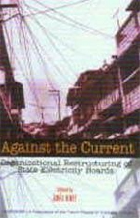 Against the Current: Organizational Restructuring of State Electricity Boards
