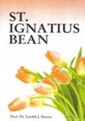 St. Ignatius Bean