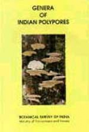 Genera of Indian Polypores