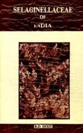 Selaginellaceae of India