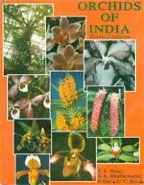 Orchids of India