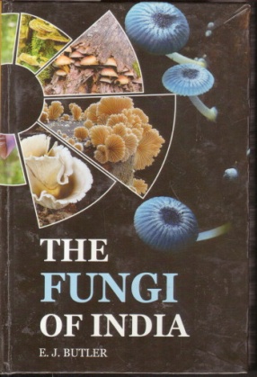 The Fungi of India