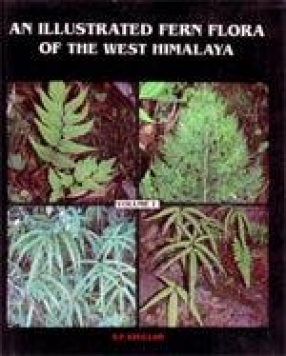 An Illustrated Fern Flora of the West Himalaya (Vol. 1)