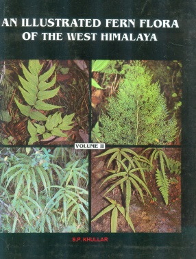 An Illustrated Fern Flora of the West Himalaya  ( In 2 Volumes)