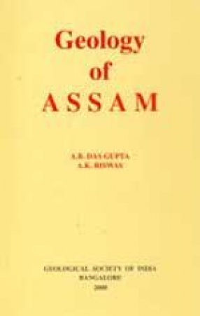 Geology of Assam