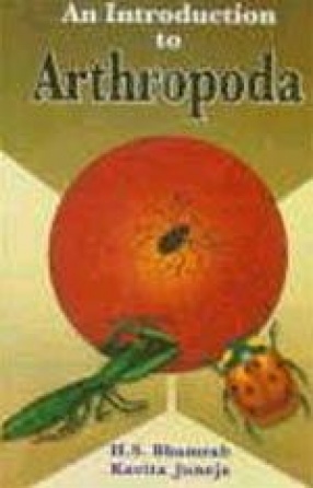 An Introduction to Arthropoda