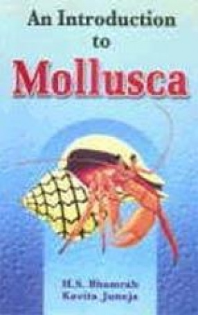 An Introduction to Mollusca