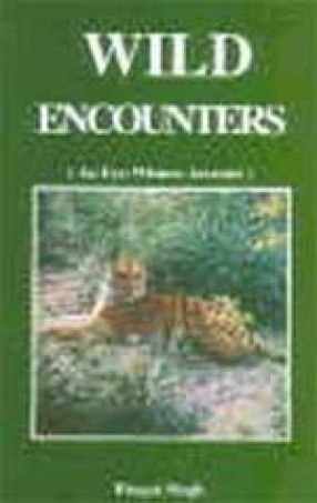 Wild Encounters: An Eye-Witness Account