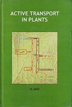 Active Transport in Plants