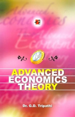 Advanced Economics Theory