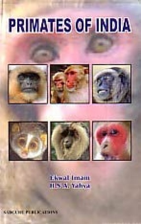 Primates of India