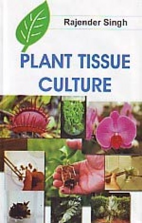 Plant Tissue Culture