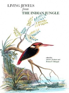 Living Jewels from the Indian Jungle