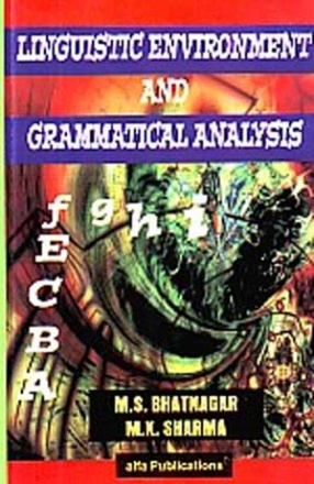 Linguistic Environment and Grammatical Analysis