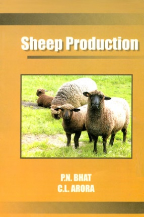 Sheep Production