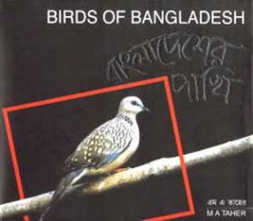 Birds of Bangladesh