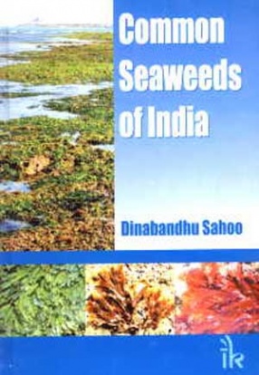 Common Seaweeds of India