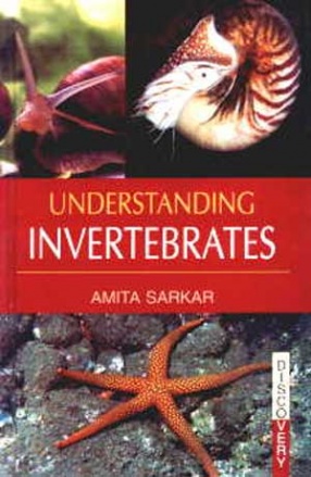 Understanding Invertebrates