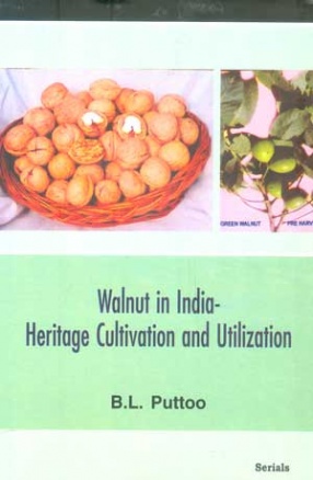 Walnut in India-Heritage Cultivation and Utilization