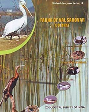 Fauna of Nal Sarovar, Gujarat