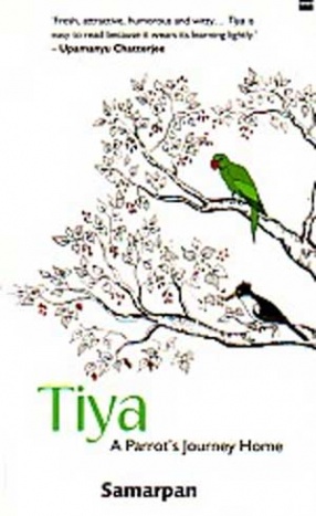 Tiya: A Parrot's Journey Home