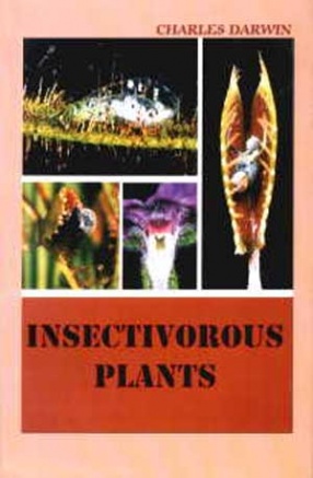 Insectivorous Plants