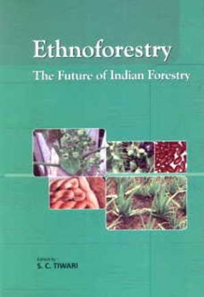 Ethnoforestry: The Future of Indian Forestry