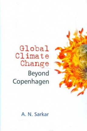 Global Climate Change: Beyond Copenhagen