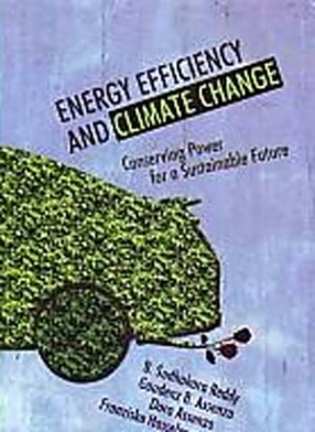 Energy Efficiency and Climate Change: Conserving Power for a Sustainable Future