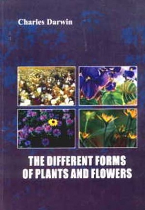 The Different Forms of Plants and Flowers
