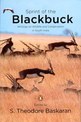 Sprint of the Blackbuck: Writings on Wildlife and Conservation in South India