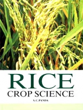 Rice Crop Science