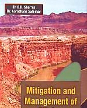 Mitigation and Management of Mining Disasters