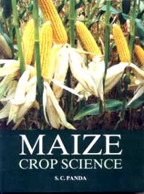 Maize Crop Science