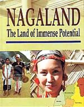 Nagaland: The Land of Immense Potential