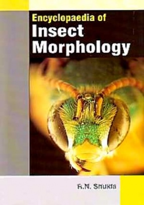 Encyclopaedia of Insect Morphology