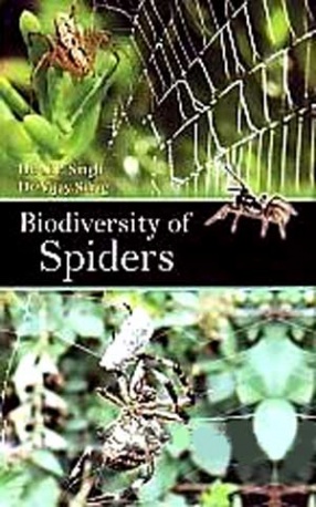 Biodiversity of Spiders