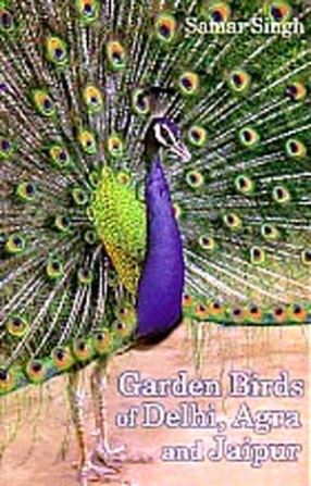 Garden Birds of Delhi, Agra & Jaipur