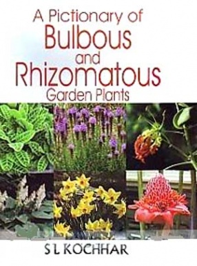 A Pictionary of Bulbous and Rhizomatous Garden Plants