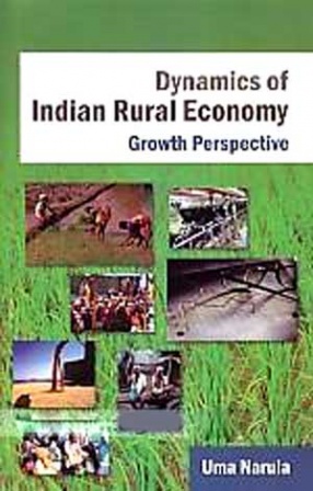 Dynamics of Indian Rural Economy: Growth Perspective