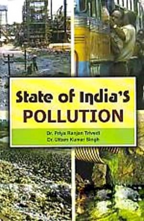 State of Indias Pollution
