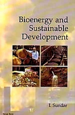 Bioenergy and Sustainable Development