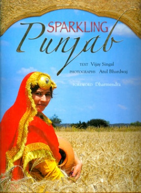 Sparkling Punjab