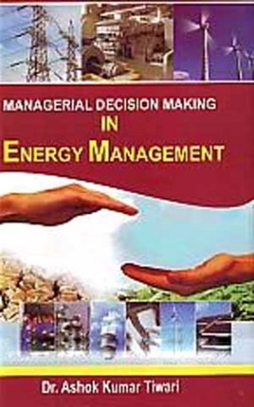 Managerial Decision Making in Energy Management