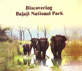 Discovering Rajaji National Park